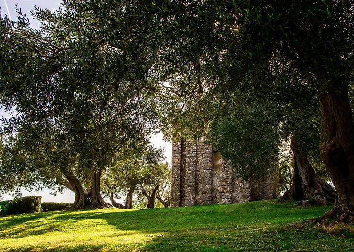 Plum Σπίτι διακοπών